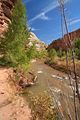 Hickman Bridge Trail