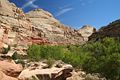 Hickman Bridge Trail