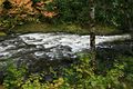 Salmon Cascades