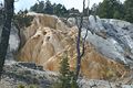 Mammoth Hot Springs - Lower Terraces Area