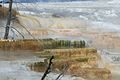 Mammoth Hot Springs - Lower Terraces Area