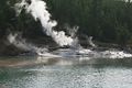 Norris Geyser Basin