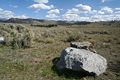 Lamar Valley