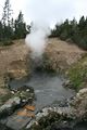 Mud Volcano Area - Dragons Mouth Spring