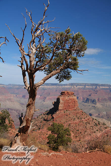 South Kaibab Trail