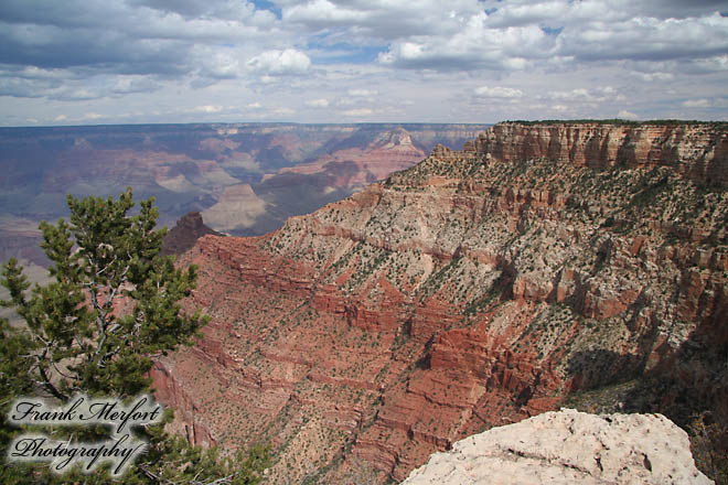 Pipe Creek Vista