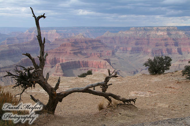 Maricopa Point