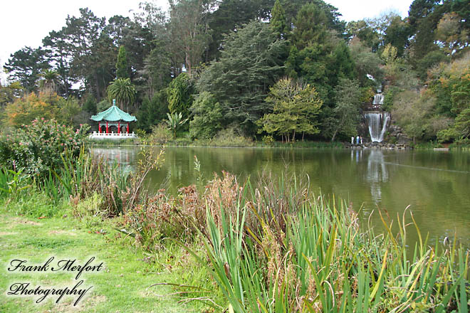 Golden Gate Park