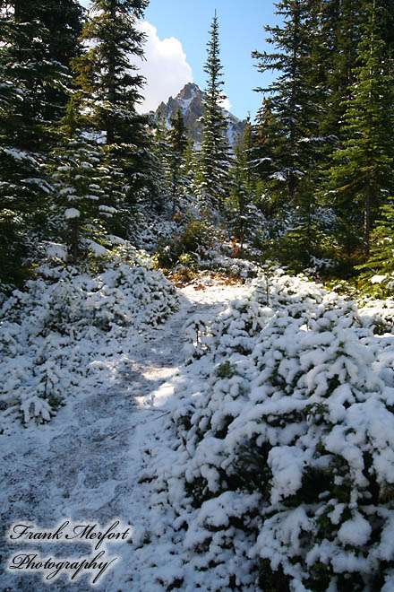 Schnee auf dem Weg zum Peyto Lake