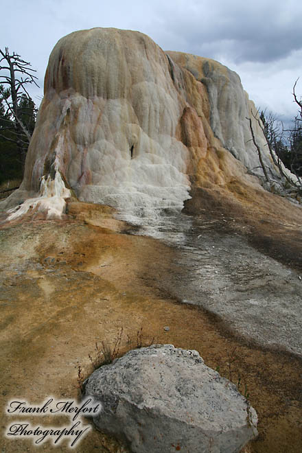 Orange Spring Mound