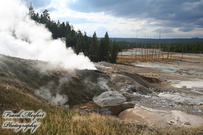 Norris Geyser Basin