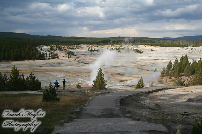 Norris Geyser Basin