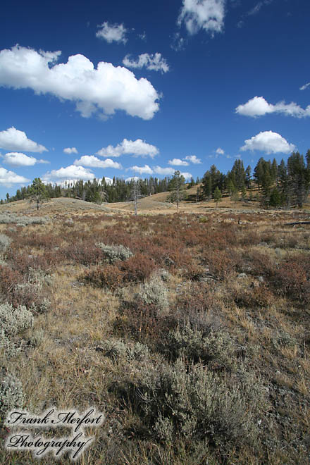 Yellowstone Nationalpark