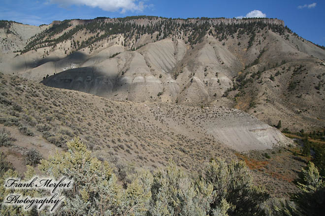 Mammoth Hot Springs