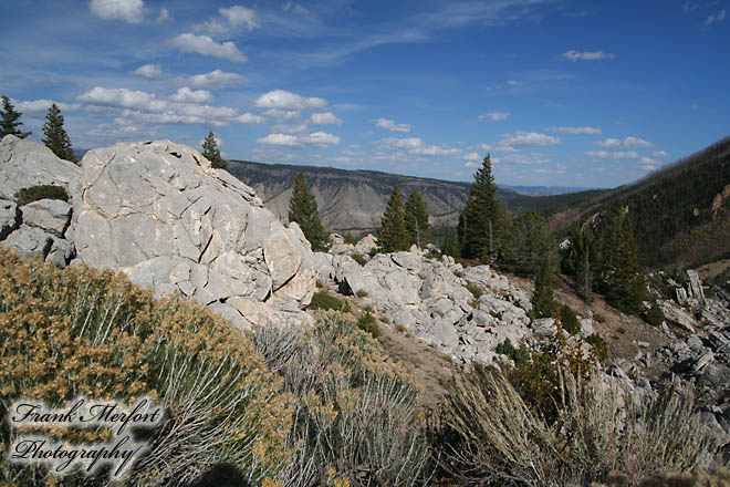 Yellowstone Nationalpark